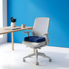Coccyx Pro Cushion